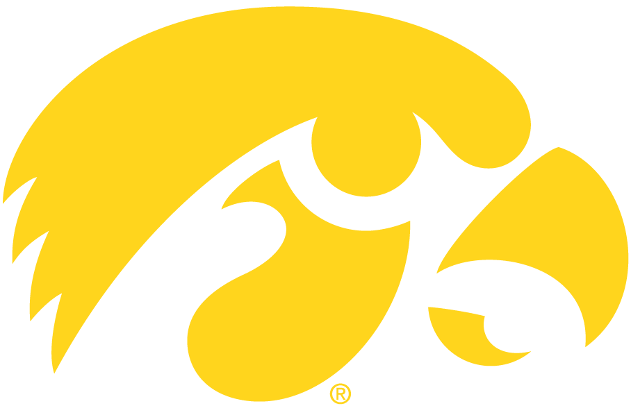 Iowa Hawkeyes 1979-Pres Alternate Logo 01 iron on paper